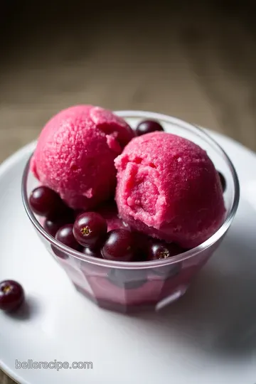Sweet Summer Grape Sorbet presentation