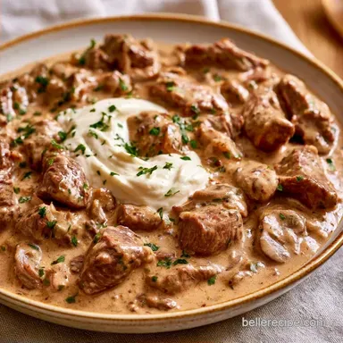 Beef Stroganoff in 30 Minutes
