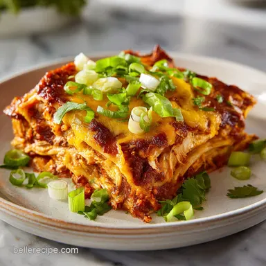 Chicken Enchilada Casserole for 6 Servings