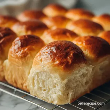 Dinner Rolls Recipe Ready in 30 Min - Fluffy Homemade Recipe Card