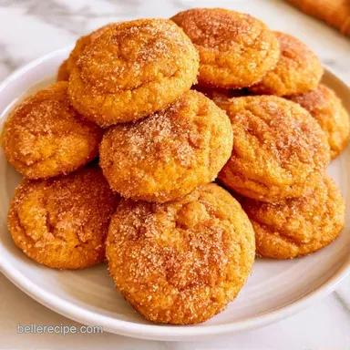 Pumpkin Snickerdoodles in 27 Minutes Recipe Card