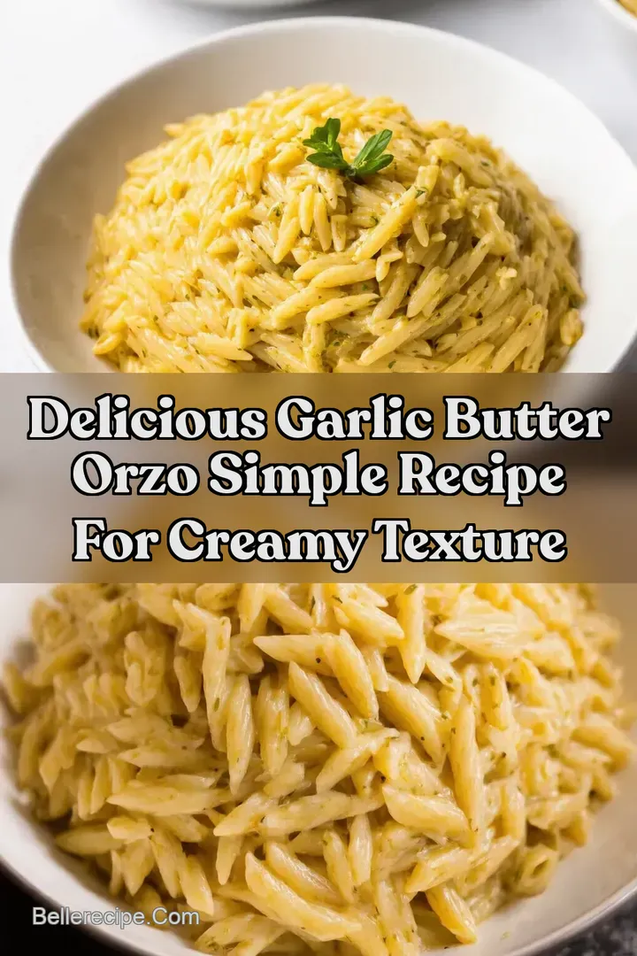 Delicious Garlic Butter Orzo Simple Recipe For Creamy Texture